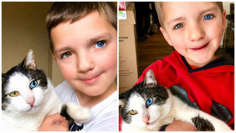 AFTER ENDURING BULLYING OVER THE COLOR OF HIS EYES AND LIP, A 7-YEAR-OLD BOY ADOPTED A CAT JUST LIKE HIM