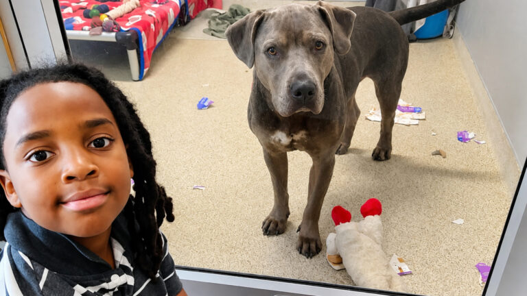 AN 11-YEAR-OLD SPENT 100 HOURS READING TO SHELTER DOGS SO THE SCARED ONES COULD FEEL SAFE