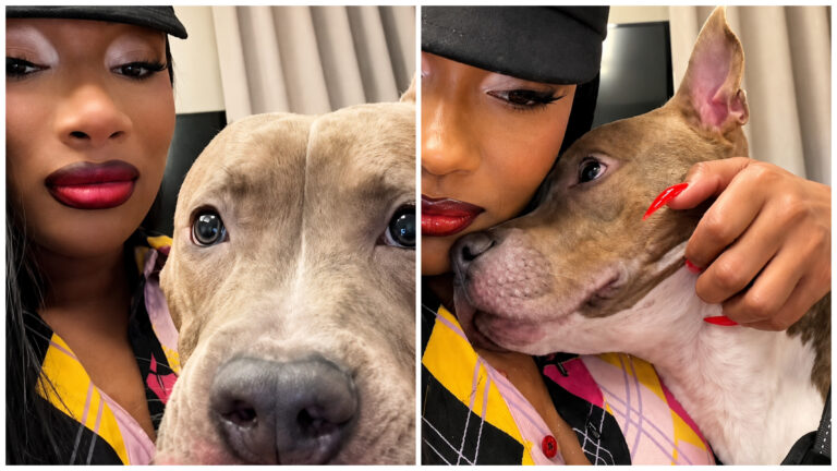 MEGAN THEE STALLION LEARNED ABOUT KILL SHELTERS—THEN SAVED A DOG DAYS FROM DEATH